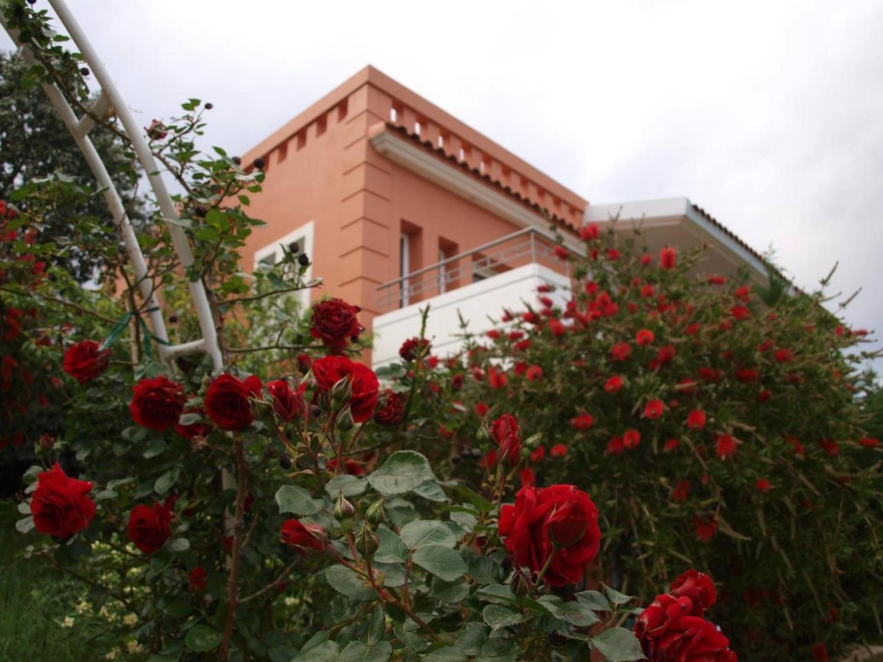 Thalassa Hotel & Spa Paleros Exteriör bild