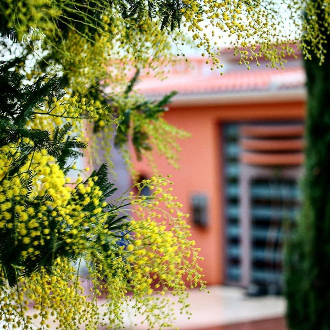 Thalassa Hotel & Spa Paleros Exteriör bild